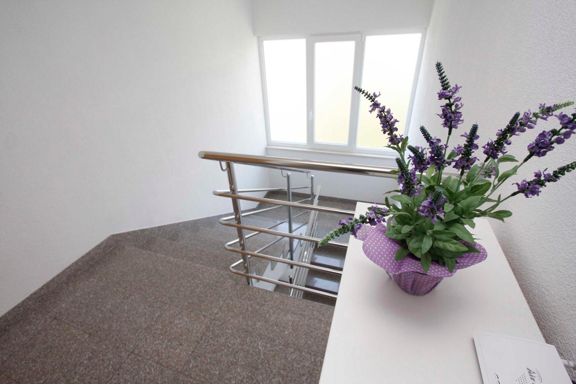 Apartmani Neva Makarska Buitenkant foto