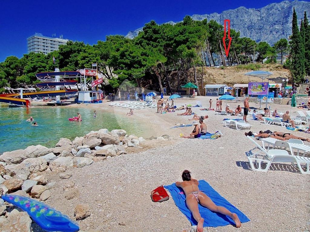 Apartmani Neva Makarska Buitenkant foto